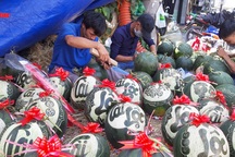 Mùa Tết ngồi vỉa hè khắc dưa hấu kiếm tiền triệu