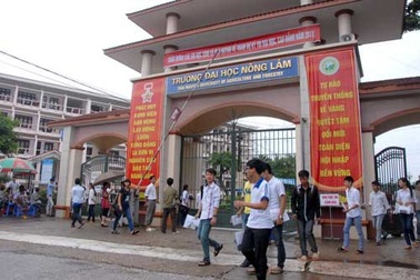 Nên giải thể đại học vùng?
