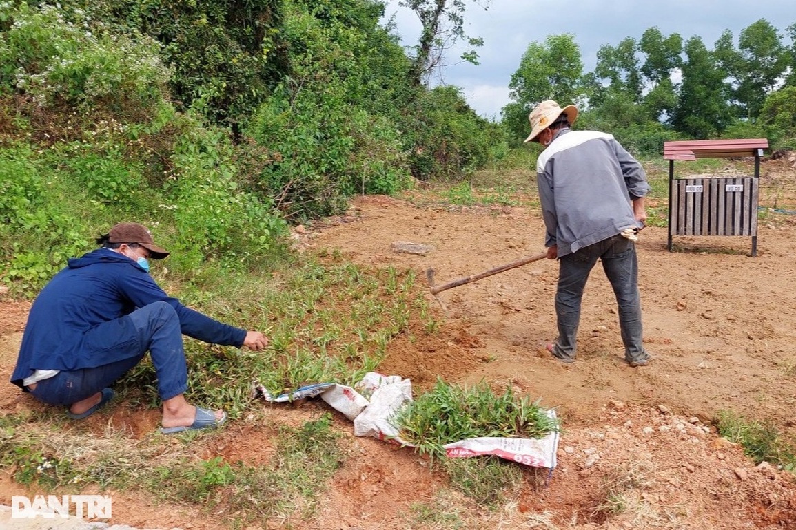 Cục Di sản văn hóa vào cuộc vụ tháp Chăm cổ gần 1.000 năm tuổi bị đe dọa - 6 Cục Di sản văn hóa vào cuộc vụ tháp Chăm cổ gần 1.000 năm tuổi bị đe dọa - 6