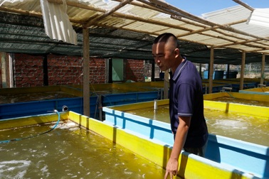 Ngư dân thất thần sau bão Kalmaegi: Trắng tay rồi, tan nát hết!