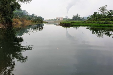 Cả khúc sông đen như mực nghi do nhà máy chế biến gỗ xả thải