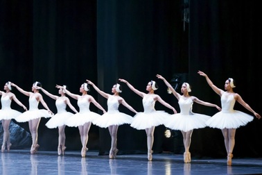 Ballet "Hồ thiên nga" tỏa sáng và đầy mê hoặc trên sân khấu