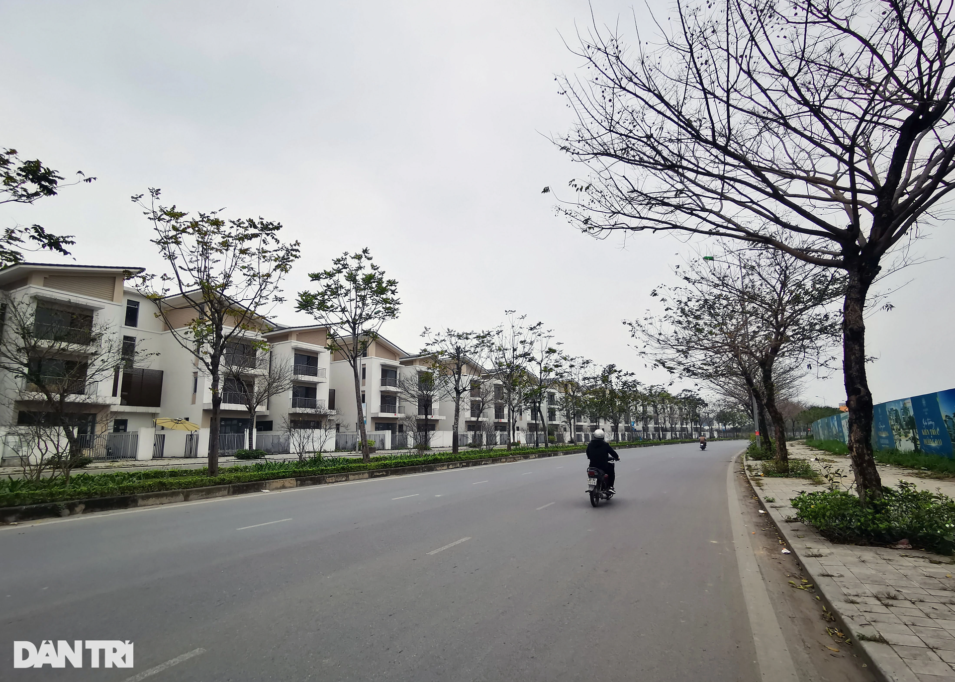 Tăng giá điên cuồng, hàng loạt biệt thự triệu đô vẫn vắng bóng người ở - 7 Tăng giá điên cuồng, hàng loạt biệt thự triệu đô vẫn vắng bóng người ở - 7