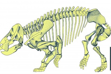 Phát hiện loài thằn lằn khổng lồ ăn cỏ mới sống cách đây hơn 200 triệu năm