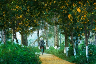 Vẻ đẹp “đến thổn thức” của Ecopark trong phút giao mùa