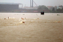 Một học sinh lớp 12 tử vong khi tham gia giải bơi ở Quảng Ninh