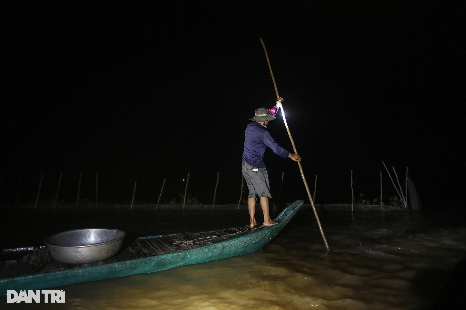 View - Fish hunting season in Mekong Delta region’s flood season | DTiNews - Dan Tri International, the news gateway of Vietnam