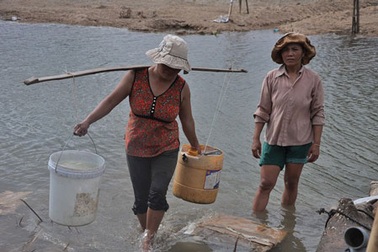 Hàng trăm hộ dân khốn khổ vì bị chặn dòng nước