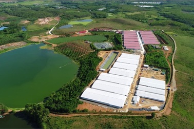 Công ty Dabaco bị phạt hàng trăm triệu đồng vì vi phạm môi trường