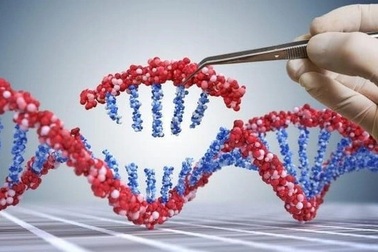 Giải trình tự gen giúp tối ưu hóa điều trị ung thư