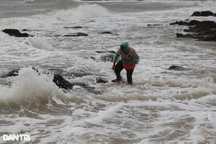 Nghề rình sóng biển, nhăm nhe "hái" tiền