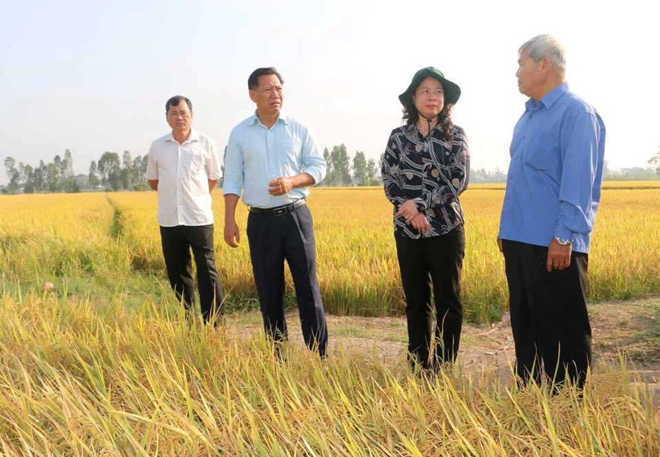 Lo nông dân buôn bán khó vì Covid – 19, Bí thư tỉnh ủy ra tận ruộng - 1 Lo nông dân buôn bán khó vì Covid – 19, Bí thư tỉnh ủy ra tận ruộng - 1