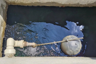 Đã có kết luận vụ hàng loạt người ở chung cư nghi bị ngộ độc