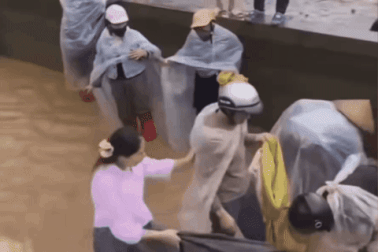 Sự thật clip người dân "hôi cá" tầm, cá hồi mặc chủ ao la hét ngăn cản