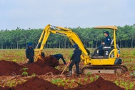 Triển khai tìm kiếm mộ tập thể liệt sĩ ở Đồng Nai vào 26/7