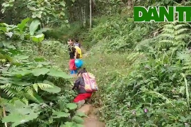 Các em học sinh Nam Trà My băng rừng, lội suối đến trường
