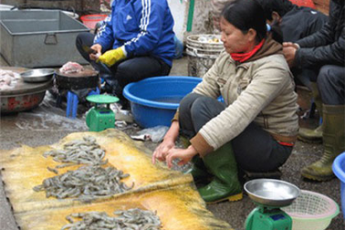 Mùng một Tết: Tôm, cá hét giá "trên trời"