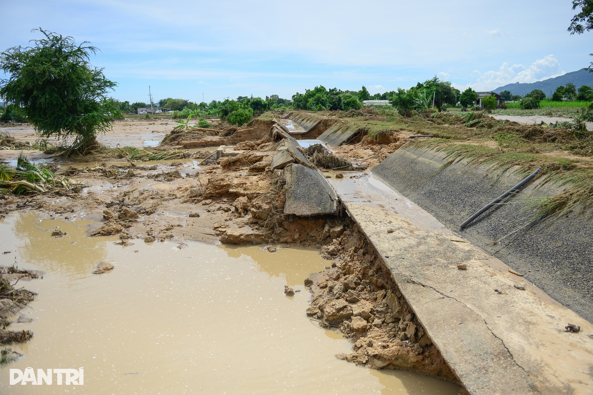 Vỡ hồ nước ở Lâm Đồng, lũ cát cuồn cuộn đổ về san phẳng nhà vườn - 5
