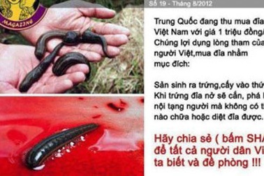 Rộ tin đồn cấy trứng đỉa vào thức ăn hại người