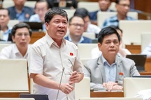 Áp thuế VAT 5% với phân bón: Đại biểu nói "rất tội cho người dân"