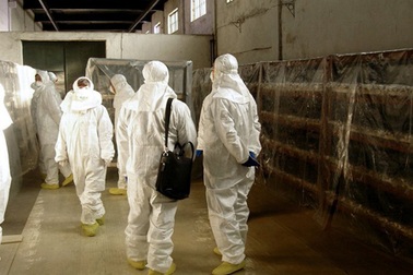 Tình báo Hàn Quốc: Triều Tiên đã khởi động lại khu hạt nhân Yongbyon 