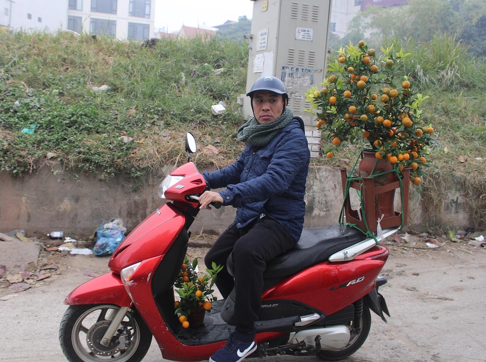Người vận chuyển chạy sô, kiếm tiền triệu mỗi ngày nhờ chở cây cảnh - 5 Người vận chuyển chạy sô, kiếm tiền triệu mỗi ngày nhờ chở cây cảnh - 5