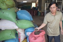 [Infographics] - Hành trình thu mua nông sản Việt của thương lái Trung Quốc