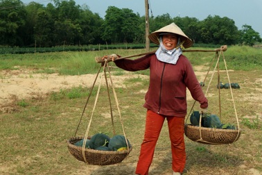 Thị trường Trung Quốc “ăn hàng” dưa hấu, nông dân phấn khởi thu lãi