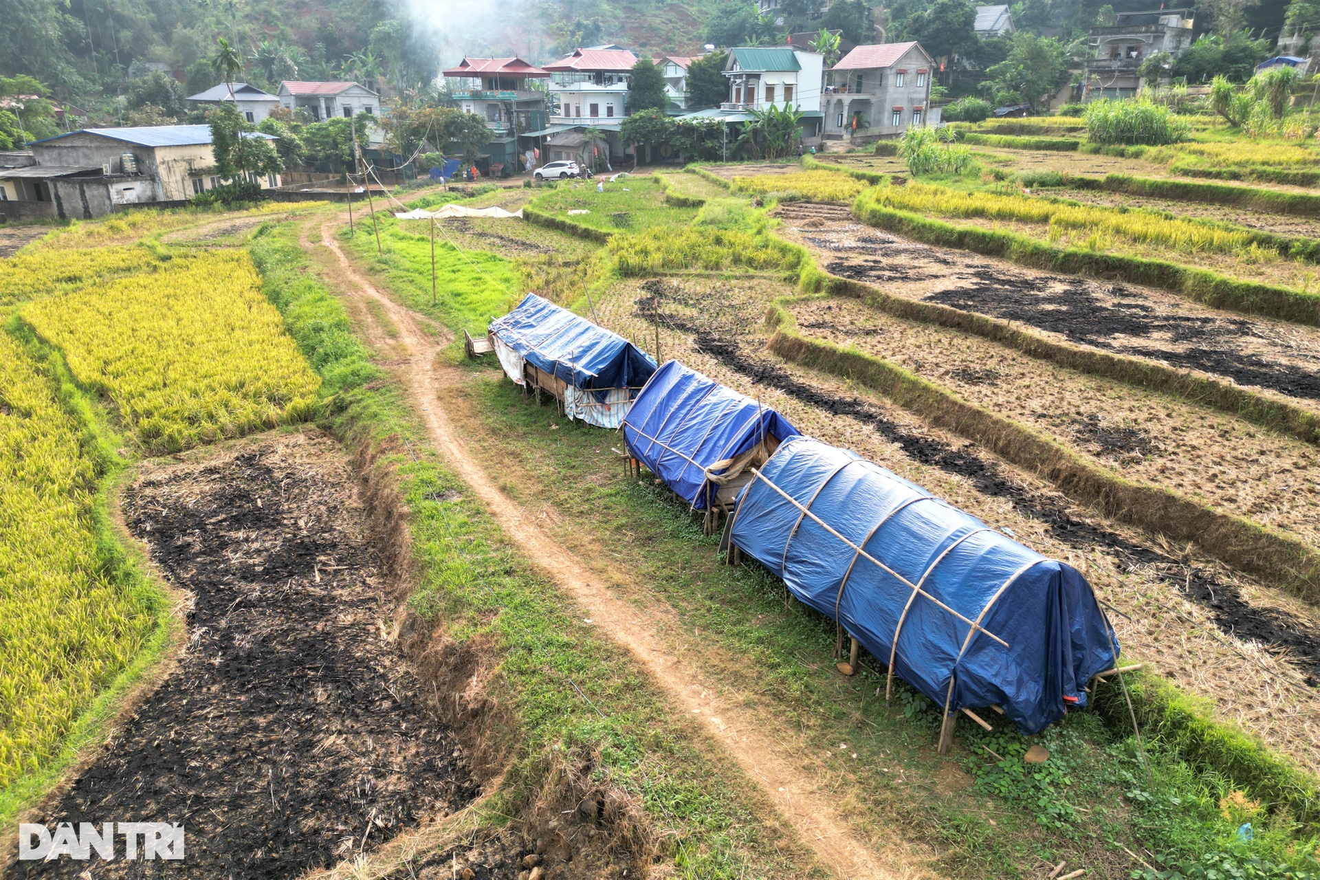 Trái ngang cảnh nhà lầu bỏ không, người dân dựng lều để ở - 10