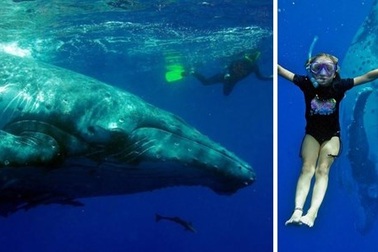 15 điểm du lịch dưới nước độc đáo nhất thế giới