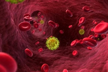 Người đầu tiên trên thế giới được chữa khỏi HIV