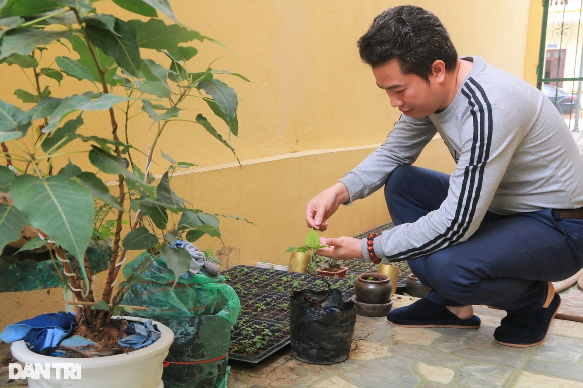 Chàng trai gọi lá bồ đề lên tiếng, làm nổi danh vùng đất Tràng An - 7 Chàng trai gọi lá bồ đề lên tiếng, làm nổi danh vùng đất Tràng An - 7