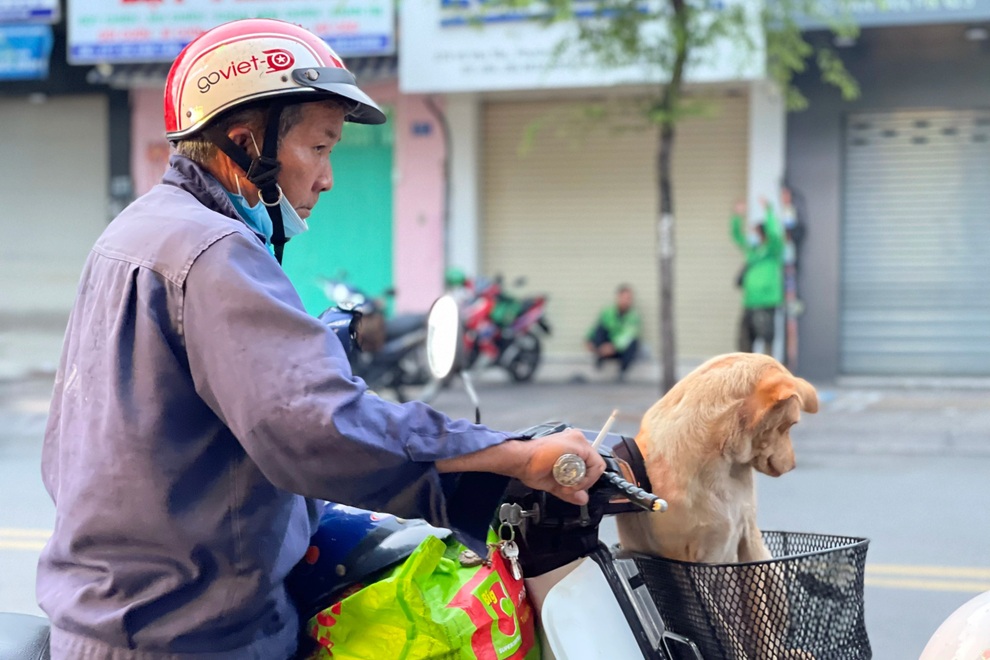 Giãn cách xã hội không ảnh hưởng đến việc triển khai gói hỗ trợ 886 tỷ đồng - 2 Giãn cách xã hội không ảnh hưởng đến việc triển khai gói hỗ trợ 886 tỷ đồng - 2