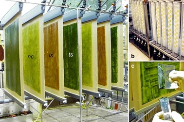 Trường đại học nghiên cứu, sản xuất nước giải khát chứa “siêu vitamin E”