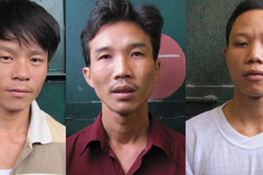 Tạm giam 3 đối tượng trộm cây cảnh hàng trăm năm tuổi