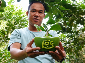 8x cho bưởi "mặc áo giáp" bán cả triệu đồng/trái vẫn đắt như tôm tươi