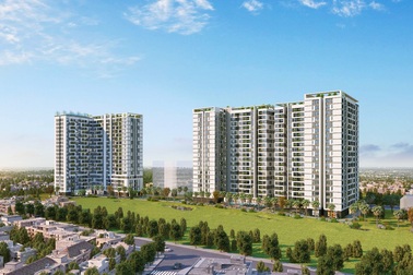 “Tắm rừng” giữa phố