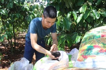 Nông dân “ngợp” vì "lạm phát" hội thảo phân bón, thuốc bảo vệ thực vật