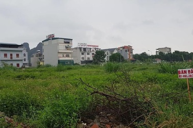 Đề xuất đánh thuế nơi sốt đất: Có phản tác dụng?