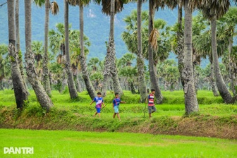 Đột phá chính sách giúp "hồi sinh" làng nghề, nâng cao đời sống người dân