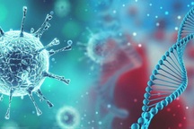 Phát hiện kháng thể ở động vật có thể chống lại SARS-CoV-2