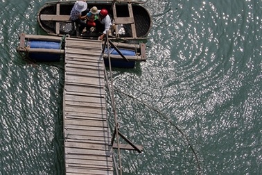 Đến Hải Phòng ghé làng chài cổ nhất Việt Nam