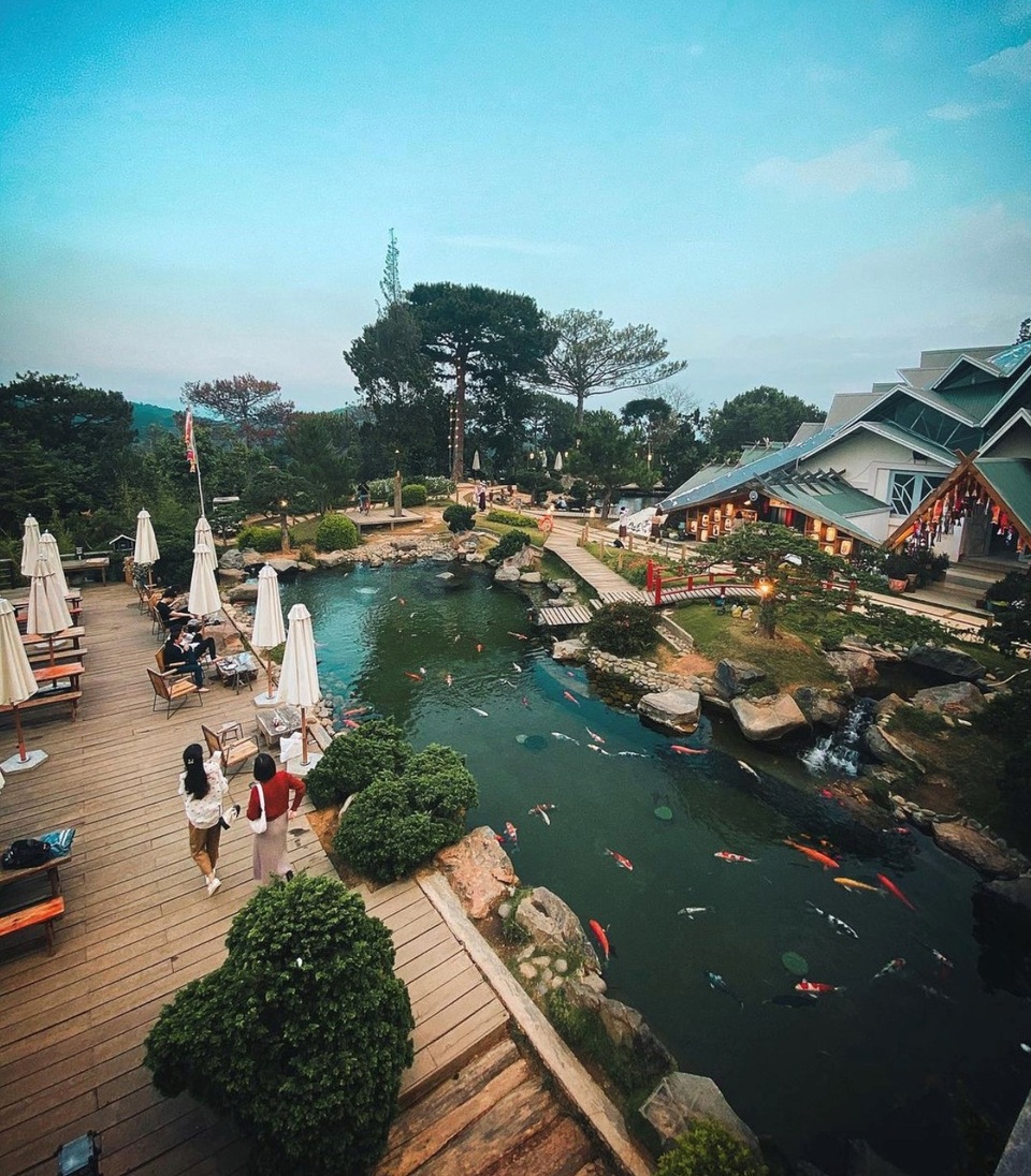 Vừa uống cà phê vừa ngắm cá Koi khủng giữa phố núi Đà Lạt - 4 Vừa uống cà phê vừa ngắm cá Koi khủng giữa phố núi Đà Lạt - 4
