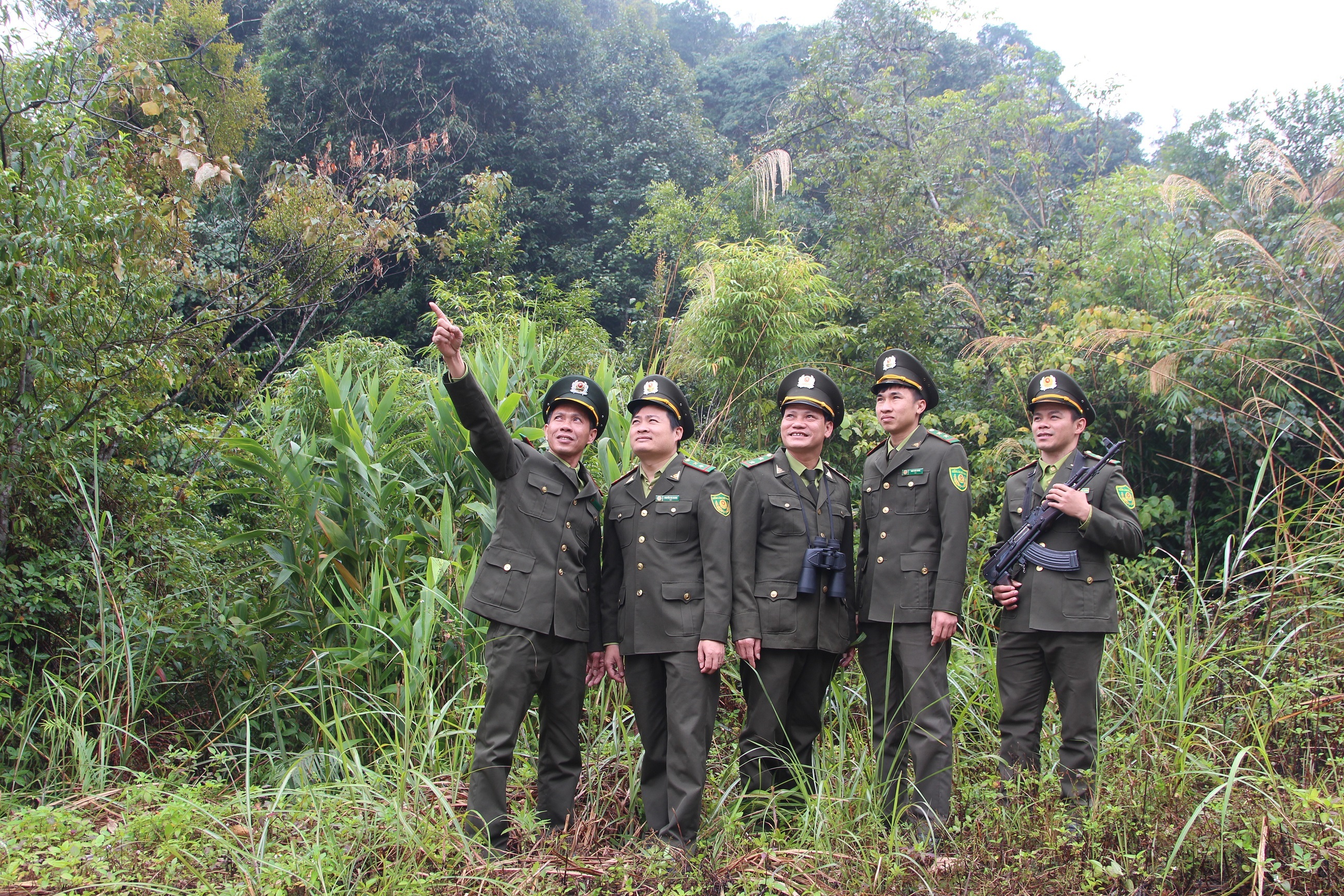 Tuần rừng ngày Xuân