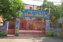 Hà Nội: Chưa giải thể hai trường mầm non Mùa Xuân và Hoa Mai