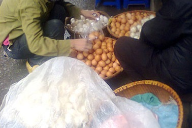 Miền Bắc: Giá trứng gia cầm vẫn cao chót vót 