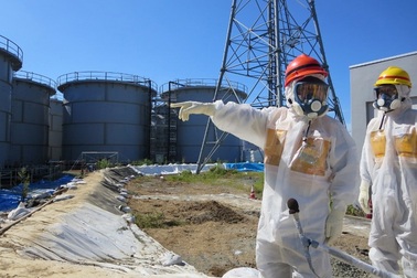 Nhật Bản thừa nhận ca tử vong đầu tiên do nhiễm phóng xạ Fukushima