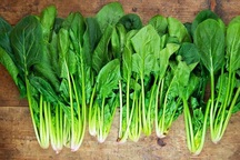 10 thực phẩm ngăn ngừa ung thư phổi hiệu quả