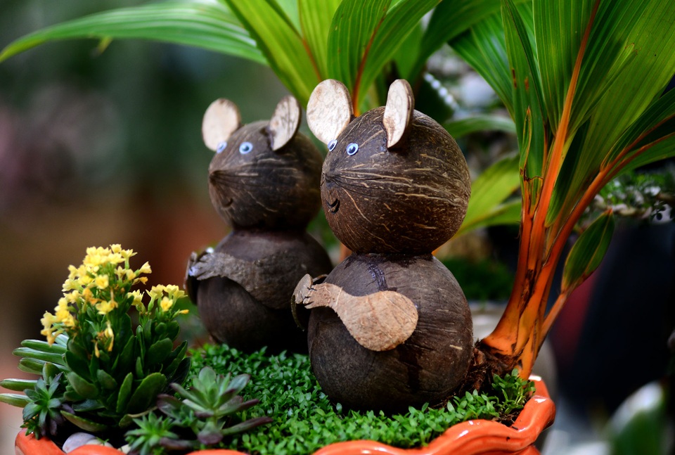 Bonsai hình chuột.jpg Bonsai hình chuột.jpg
