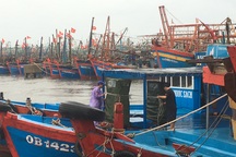 Thiếu âu thuyền, gần 1.200 tàu cá “chật vật” tìm nơi neo đậu